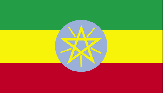 International Shipping from to Ethiopia