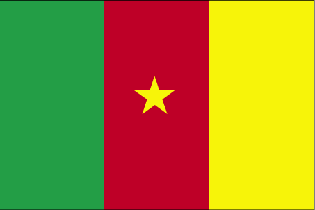 International Shipping from to Cameroon
