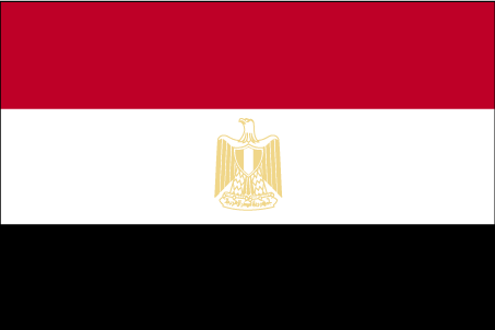 International Shipping from to Egypt