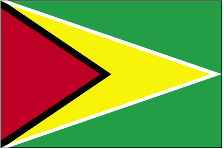 International Shipping from to Guyana